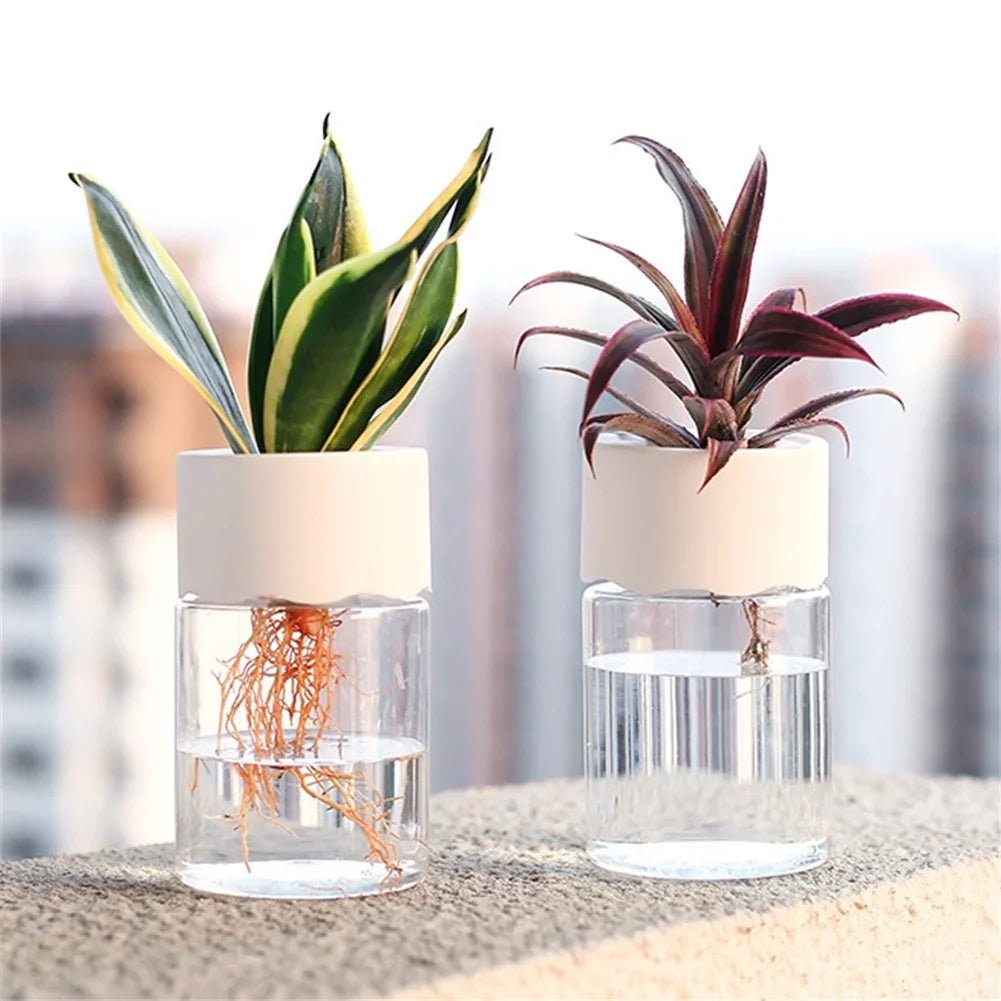 Hydroponic Plant Pots
