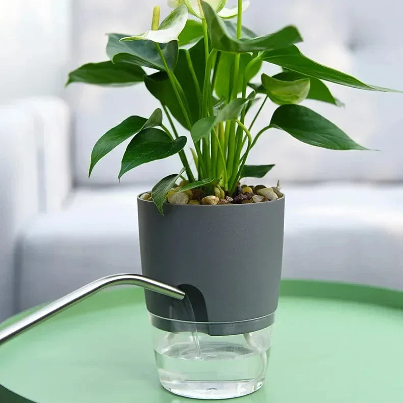 Self-Watering Planters